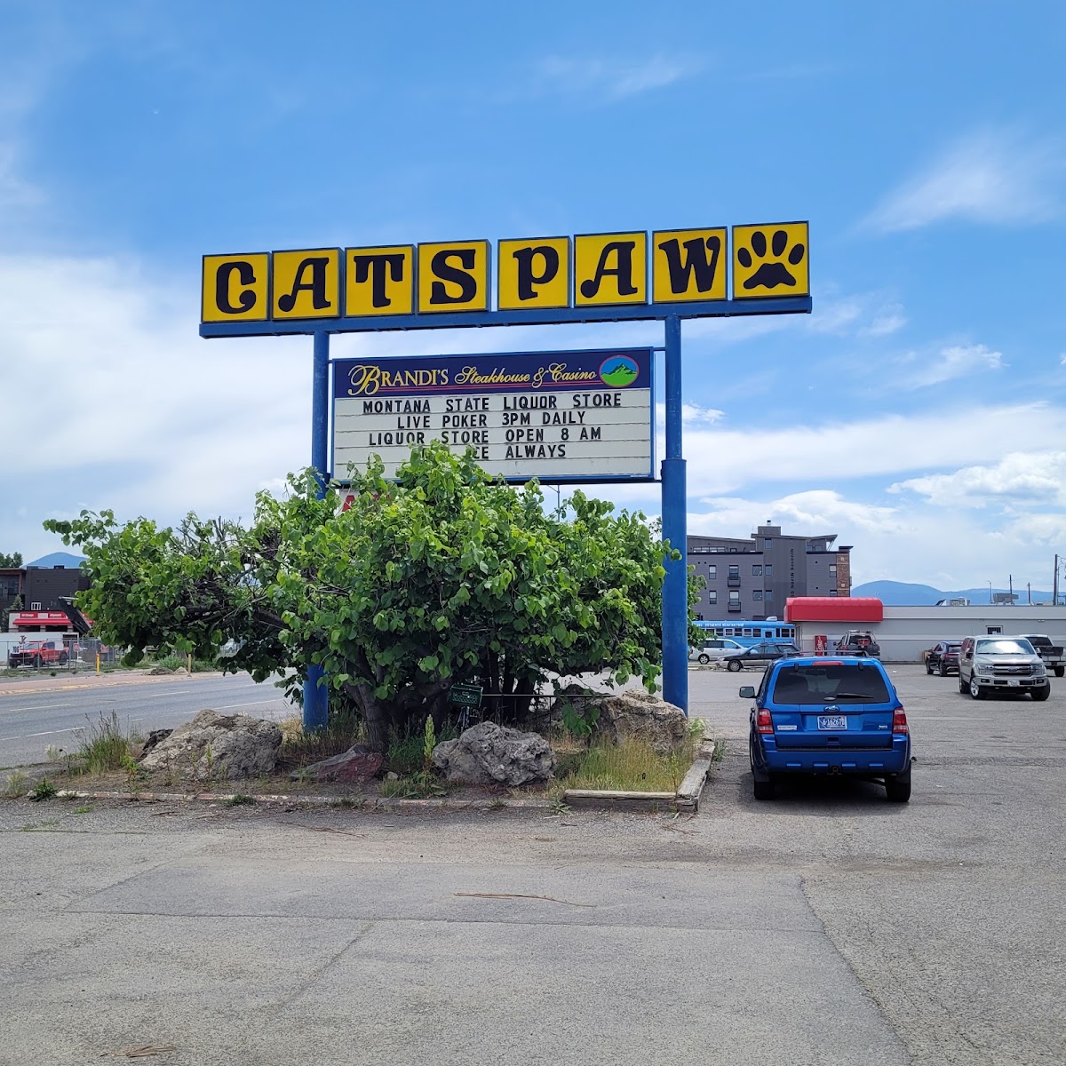 Seat Open at The Cat's Paw
